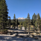 Illustration for article titled Motorcycle Road Trip, Day 8: Yosemite